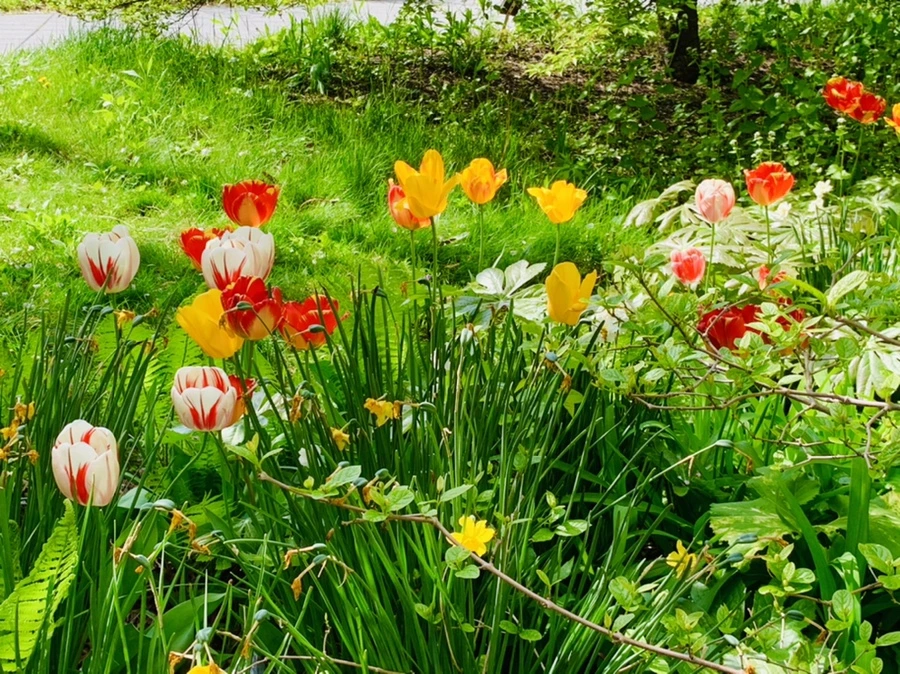 IMG_6868.jpg?type=w966