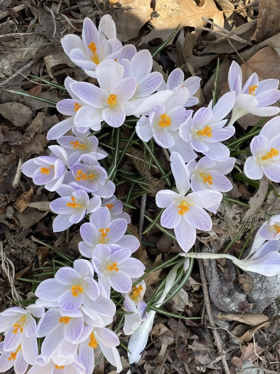 IMG_5872.jpg?type=w966