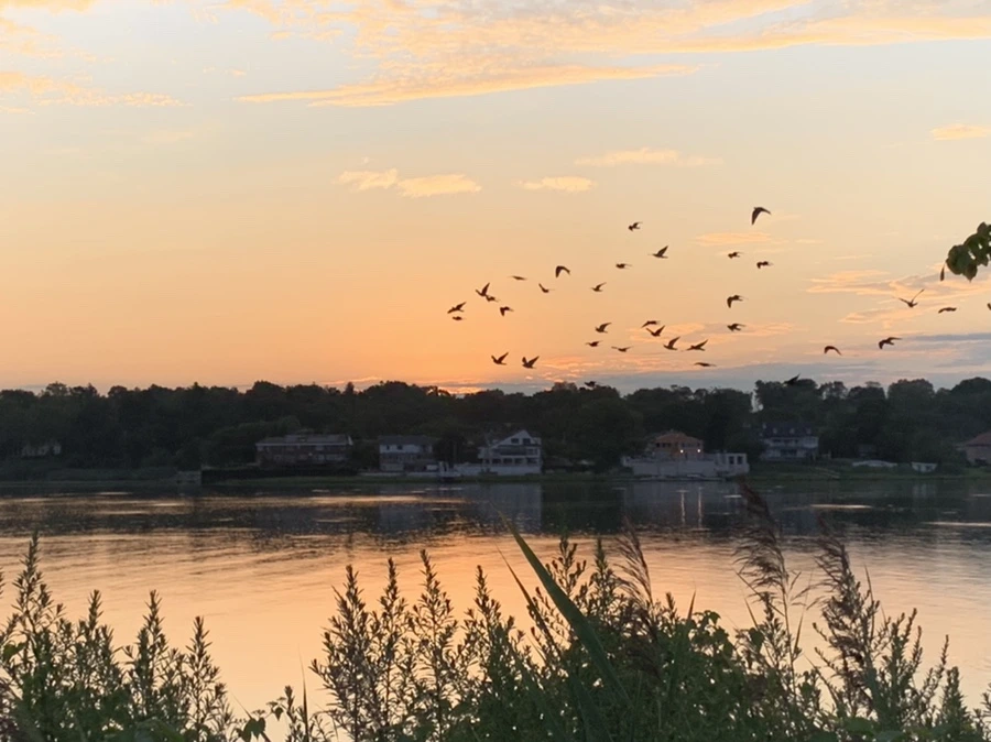 IMG_1237.jpg?type=w966