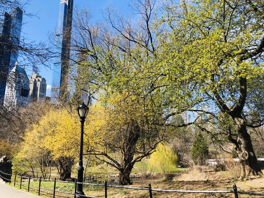 IMG_6616.jpg?type=w966