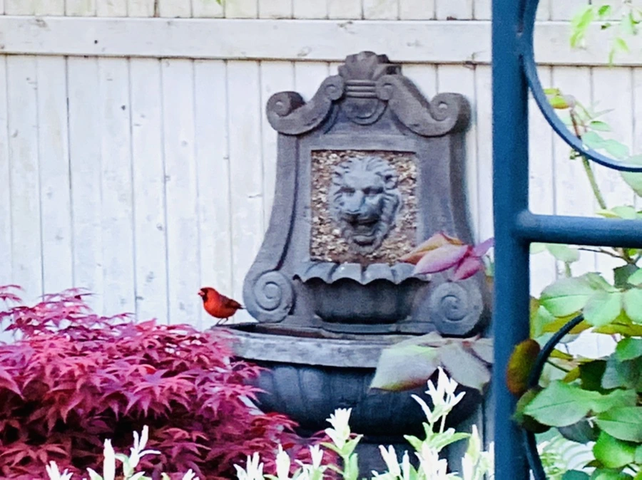 IMG_7560.jpg?type=w966