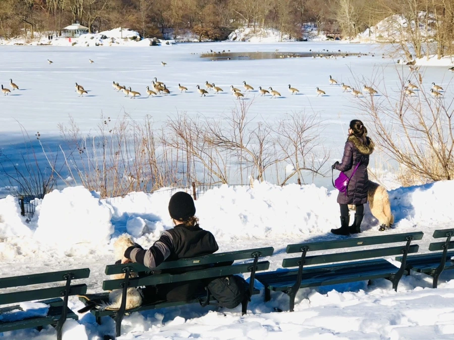 IMG_9863.jpg?type=w966