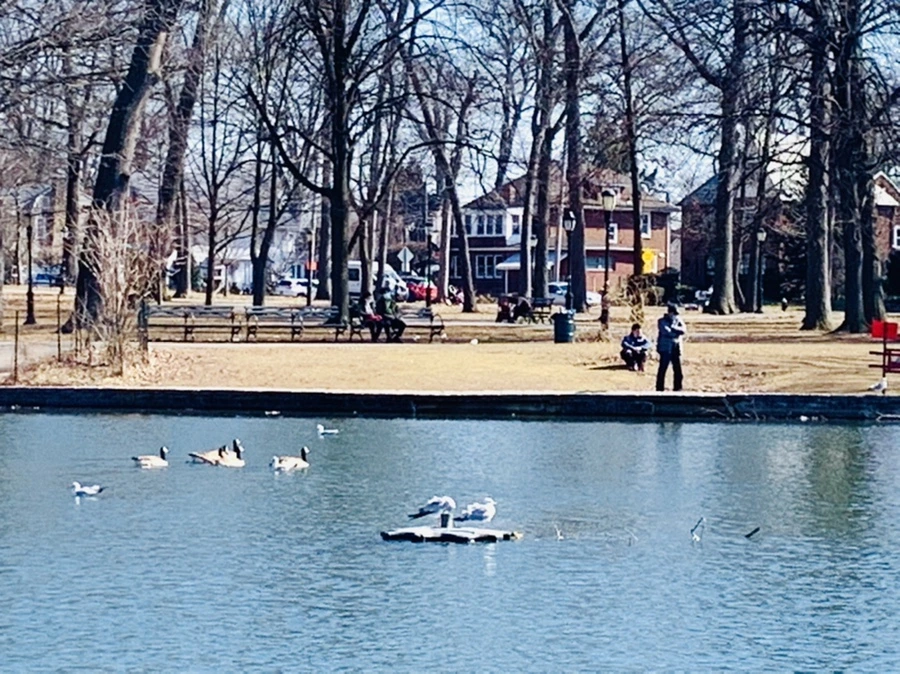 IMG_9582.jpg?type=w966