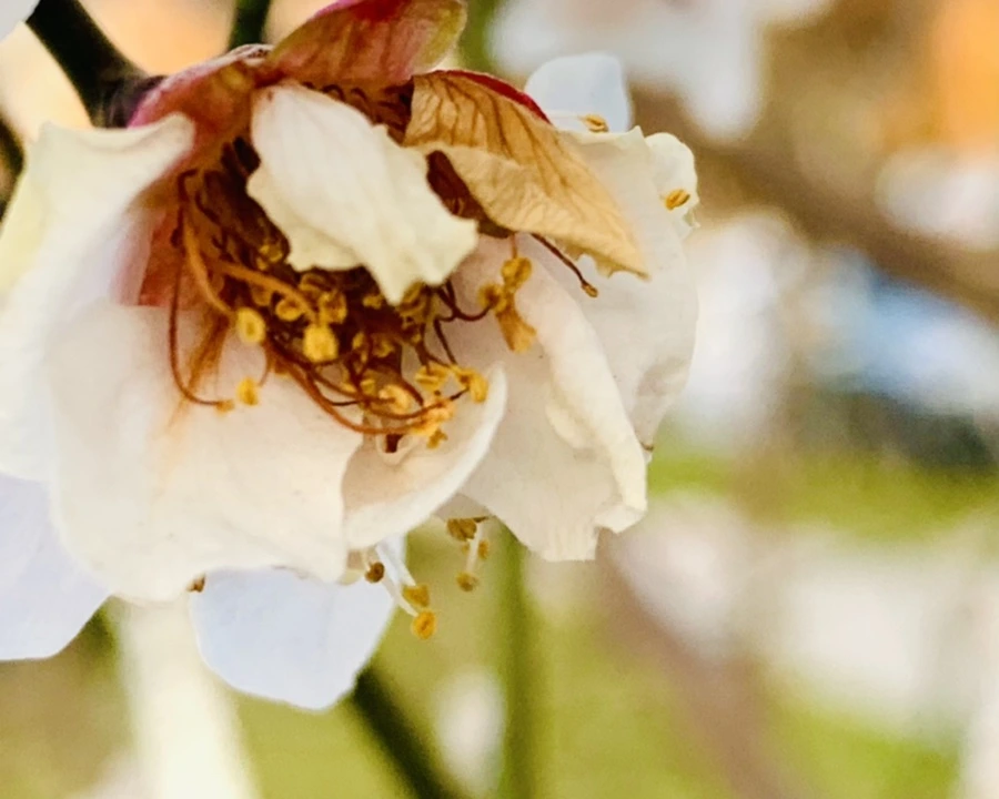 IMG_2757.jpg?type=w966