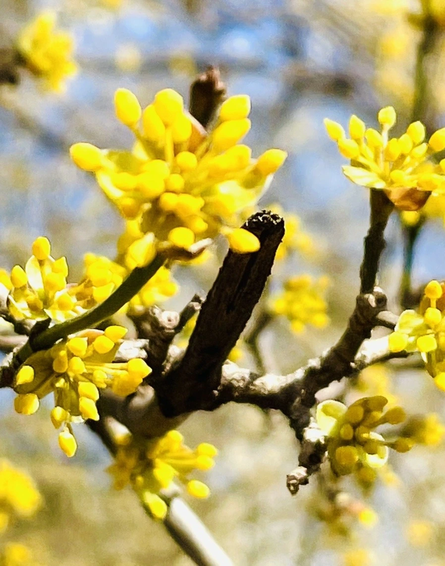 OoSnTdcAW0wRNeK6v9Rr37o6lhk