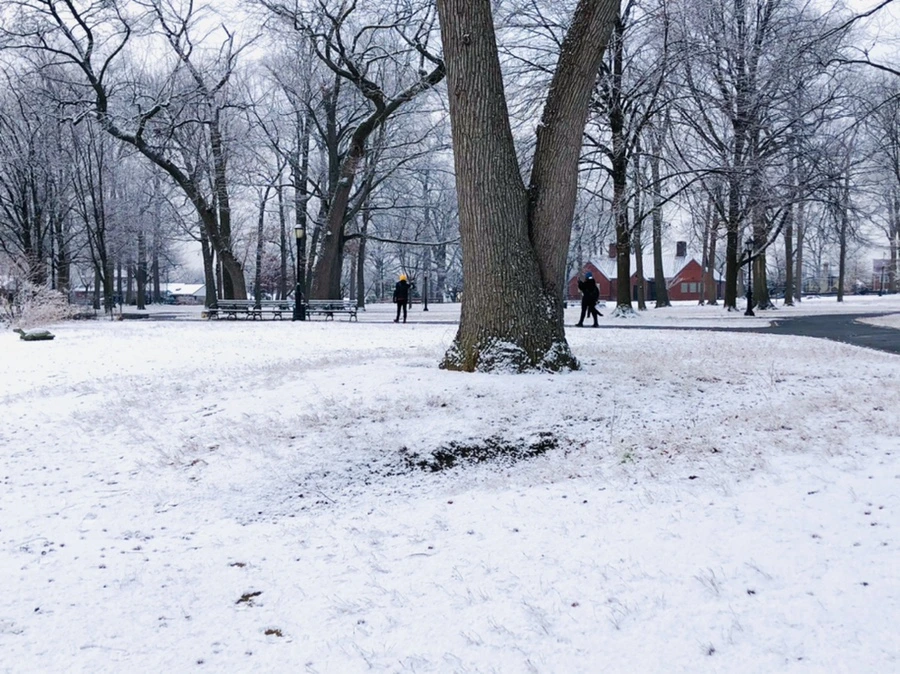 IMG_4484.jpg?type=w966