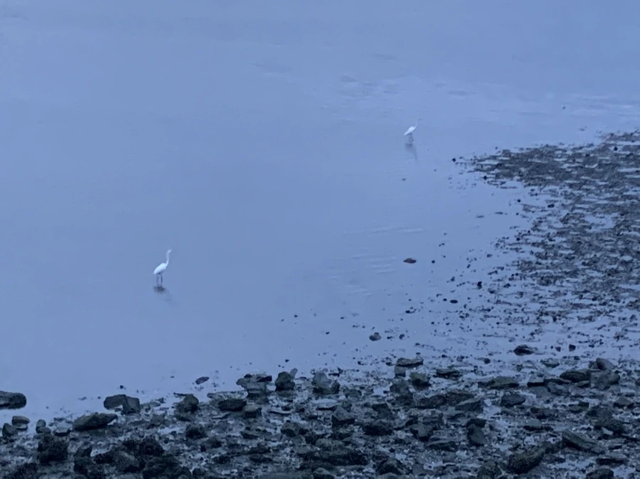 IMG_0683.jpg?type=w966