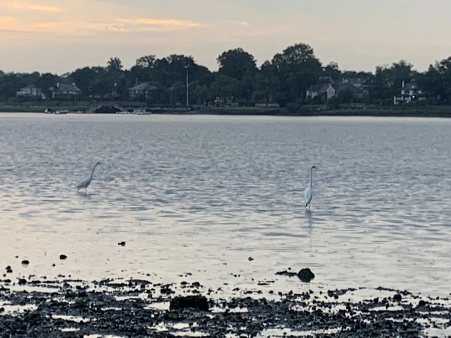 IMG_8148.jpg?type=w966