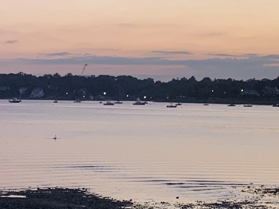 IMG_8720.jpg?type=w966