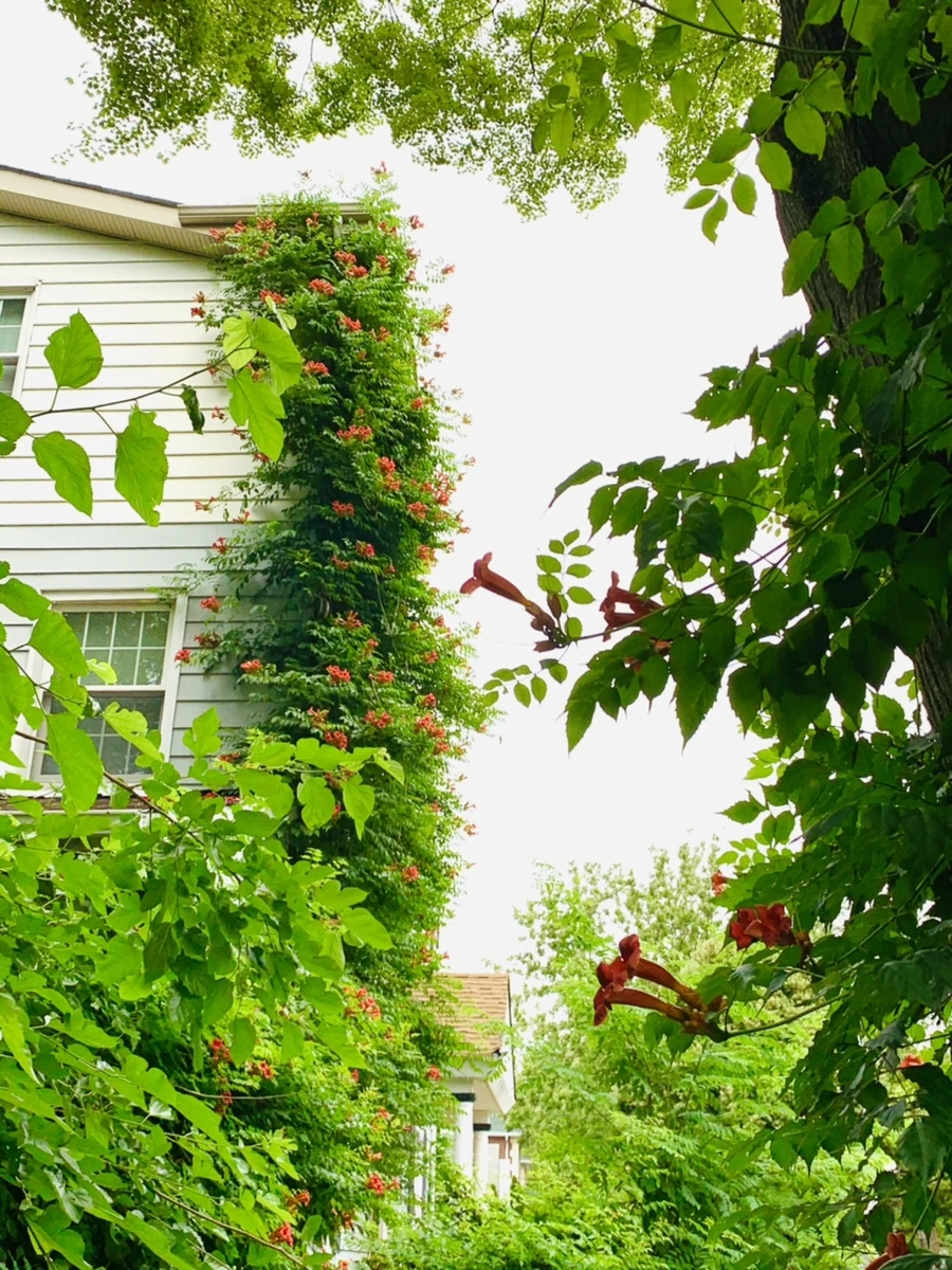 IMG_7440.jpg?type=w966