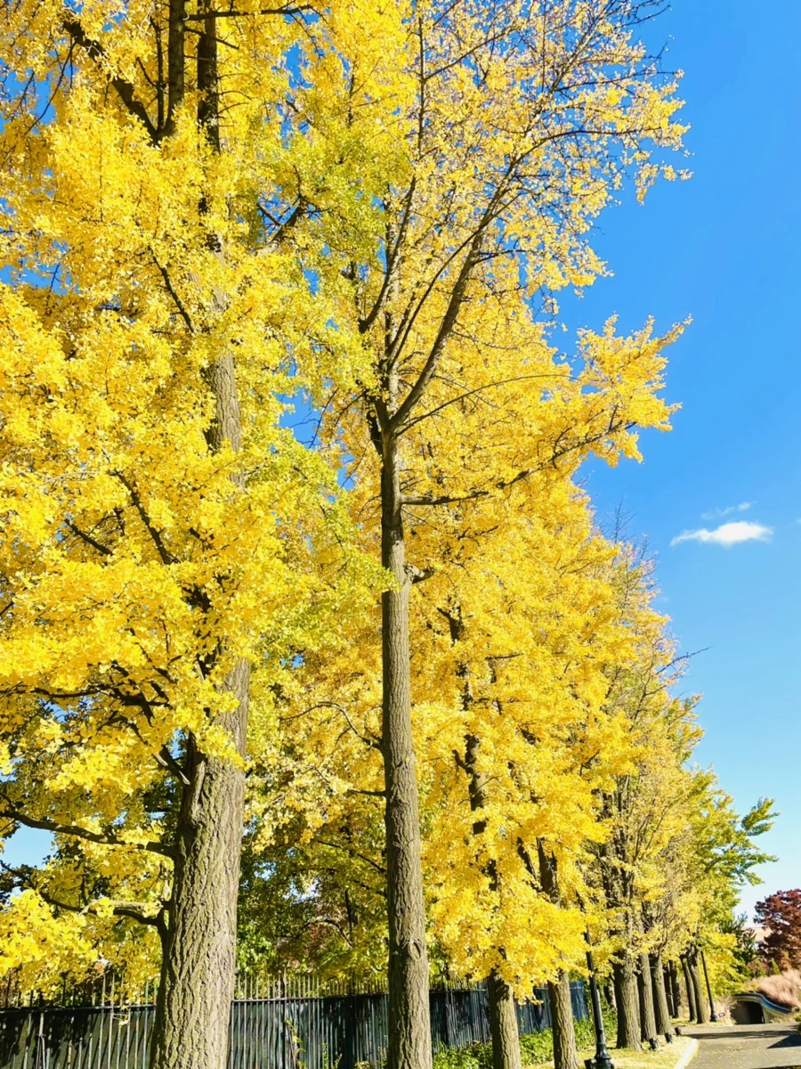 IMG_3027.jpg?type=w966