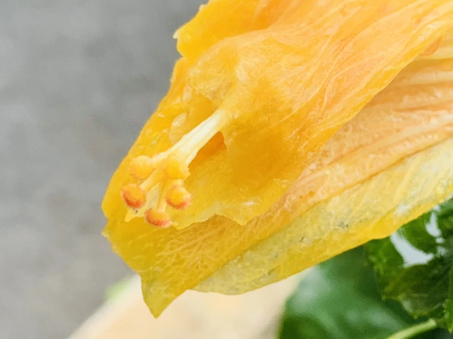 IMG_0237.jpg?type=w966