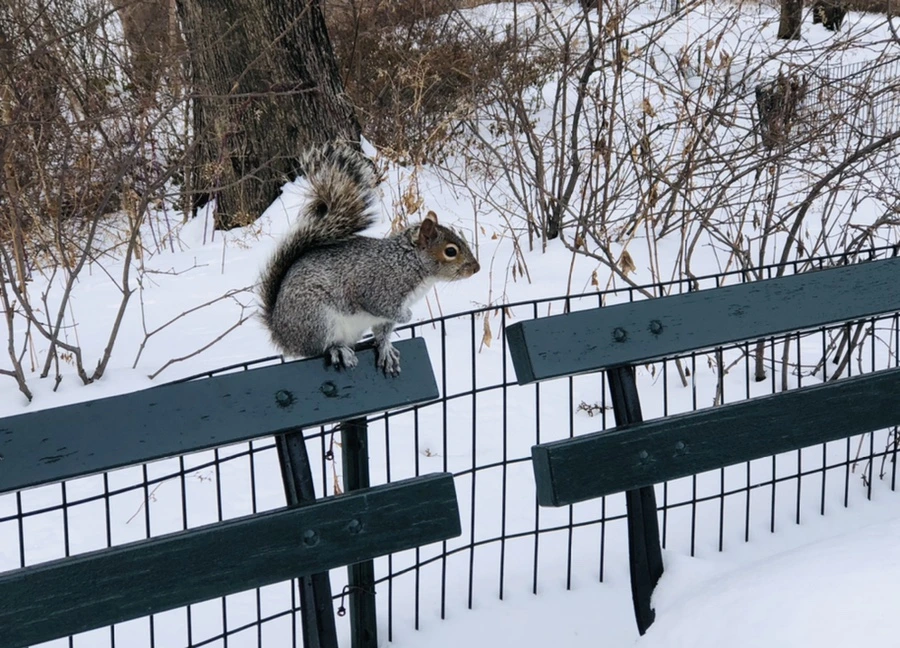 IMG_9510.jpg?type=w966