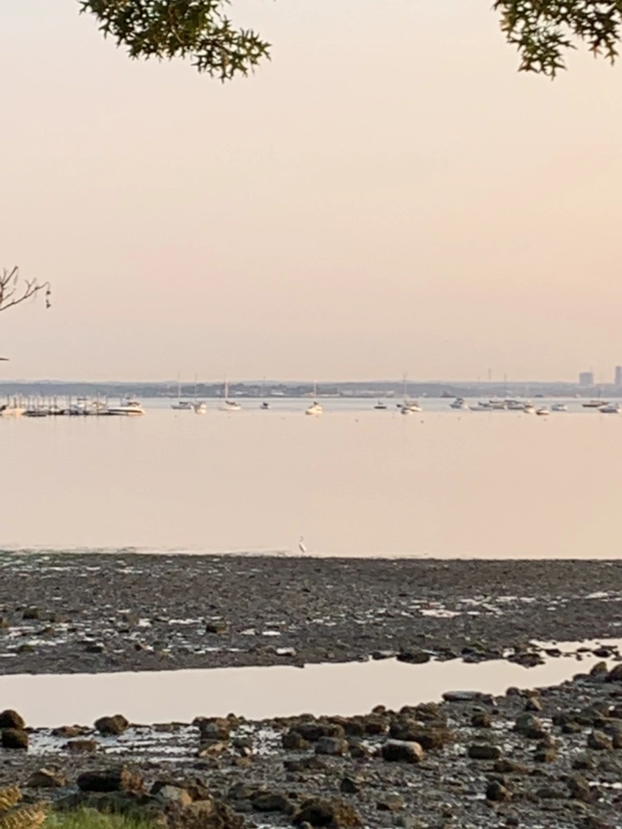 IMG_9582.jpg?type=w966