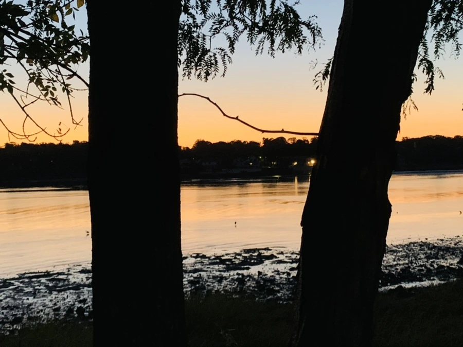 IMG_8493.jpg?type=w966