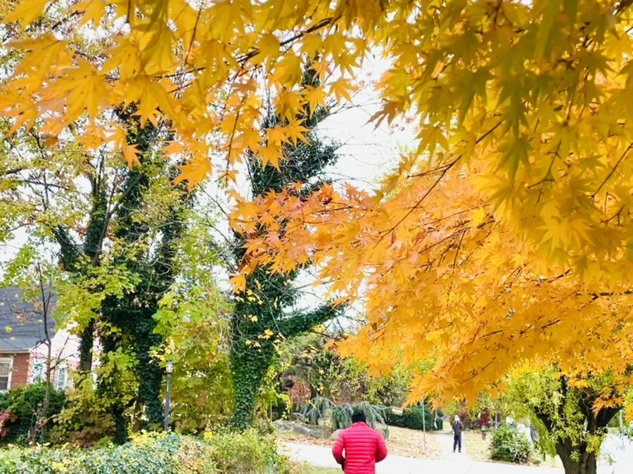 IMG_5145.jpg?type=w966