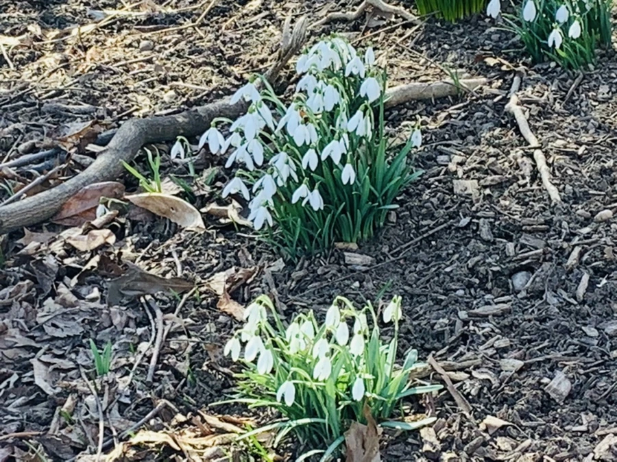 IMG_0699.jpg?type=w966