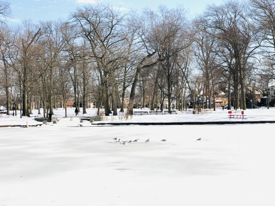 IMG_0173.jpg?type=w966