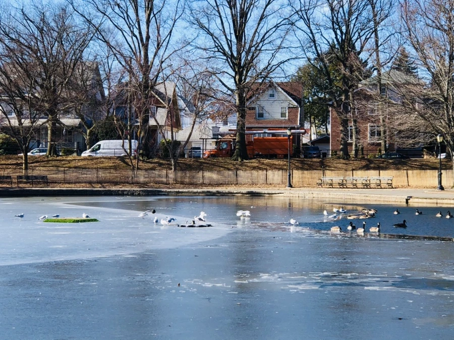 IMG_6566.jpg?type=w966