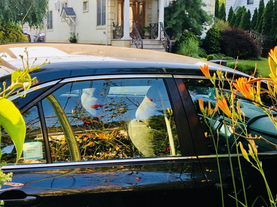 IMG_0199.jpg?type=w966