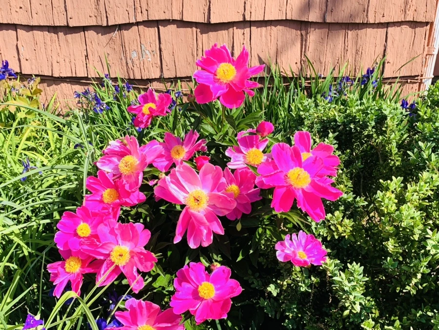 IMG_4648.jpg?type=w966