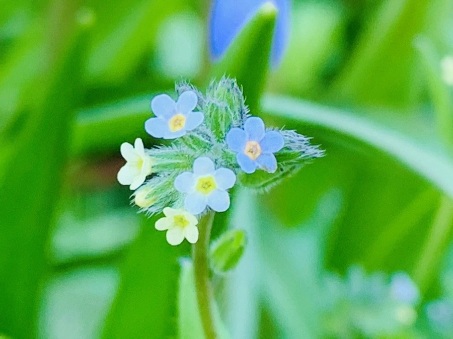 4t4cPDwMmjODiHkVoNPUaiDZ0TA