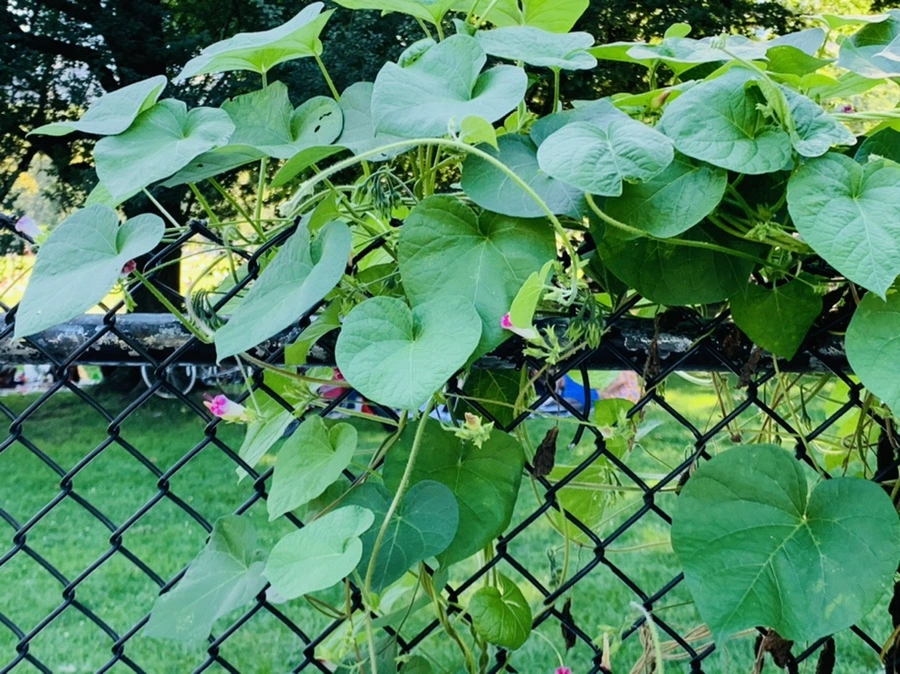 IMG_7649.jpg?type=w966