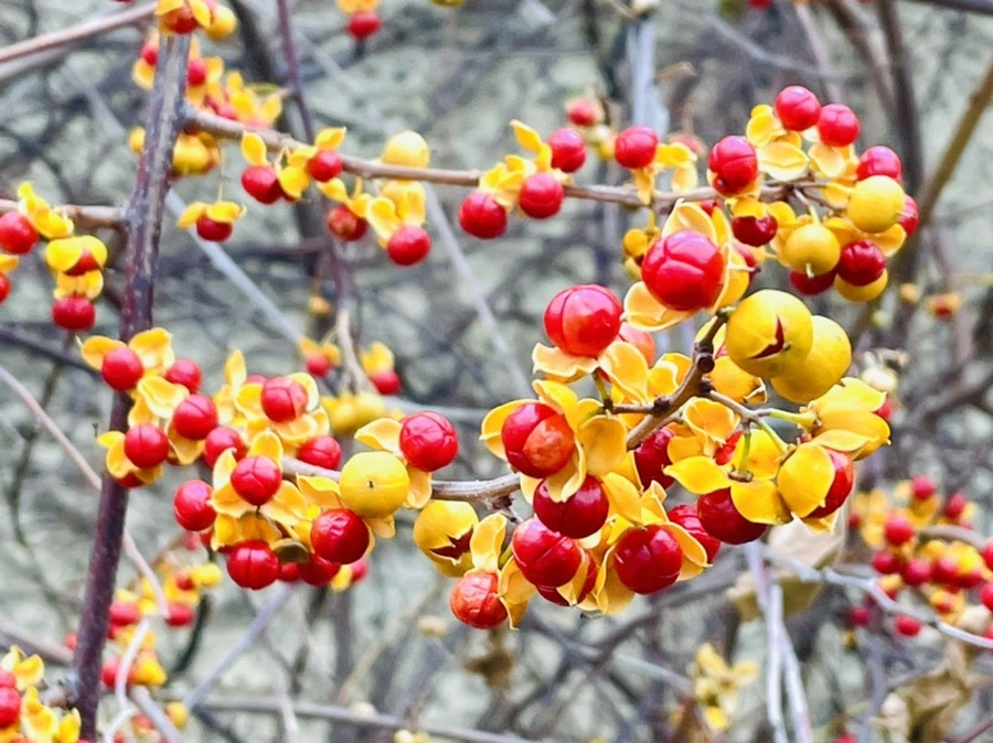 IMG_6213.jpg?type=w966