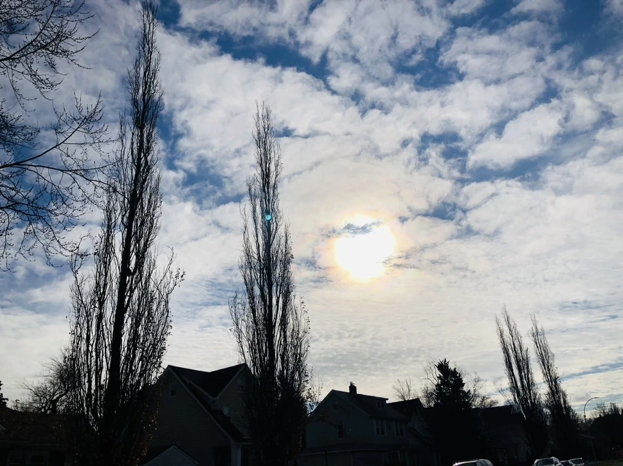 IMG_9850.jpg?type=w966