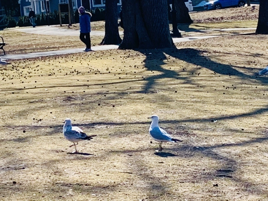 IMG_9341.jpg?type=w966