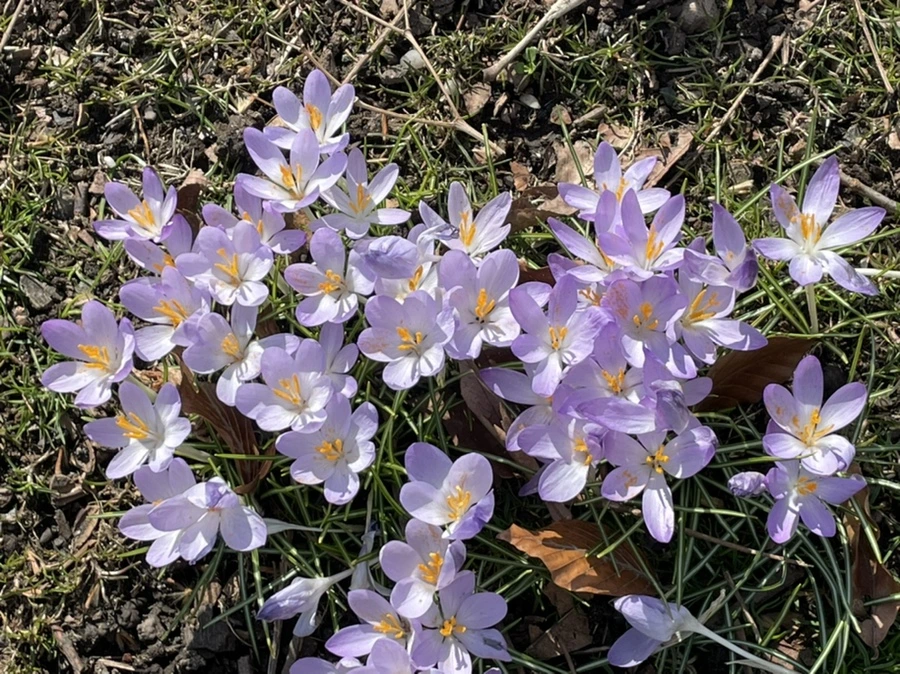 IMG_5350.jpg?type=w966