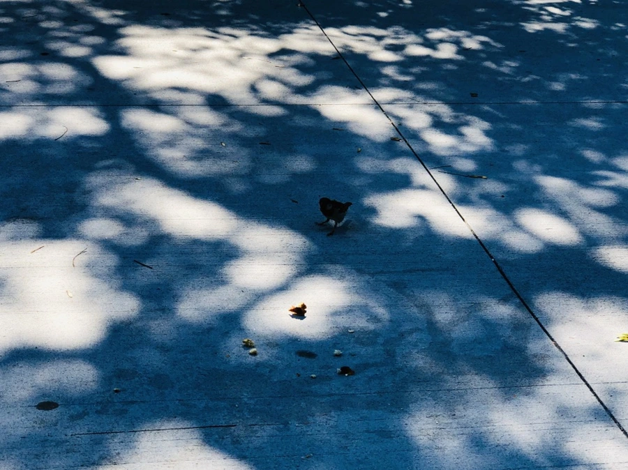 IMG_3491.jpg?type=w966