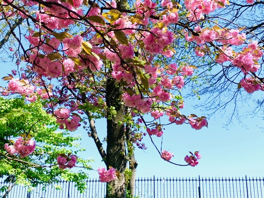 IMG_5833.jpg?type=w966