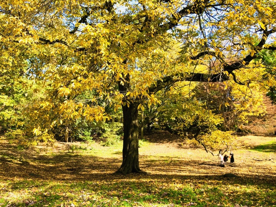 IMG_3213.jpg?type=w966