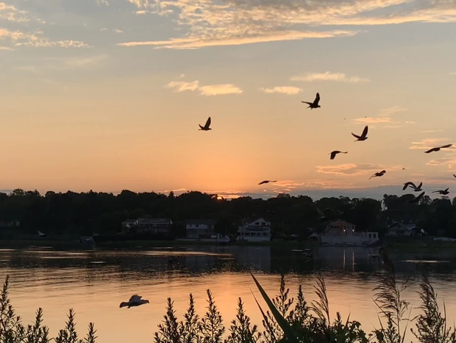 IMG_1250.jpg?type=w966