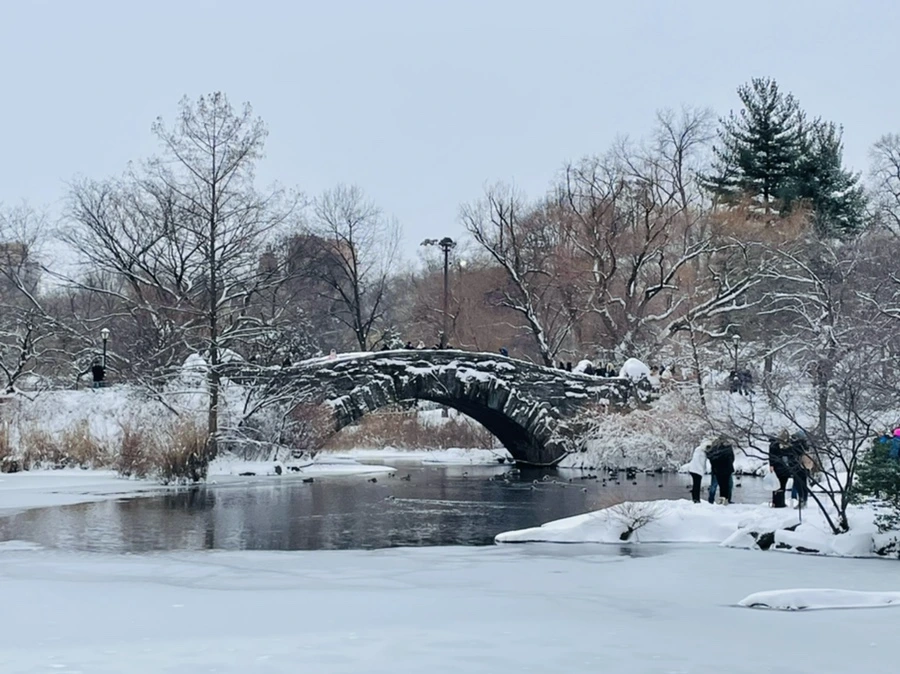 IMG_0822.jpg?type=w966