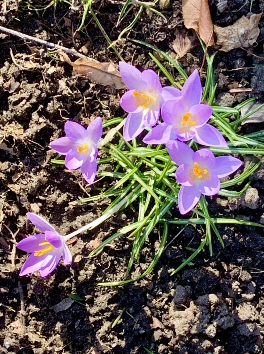 IMG_7040.jpg?type=w966