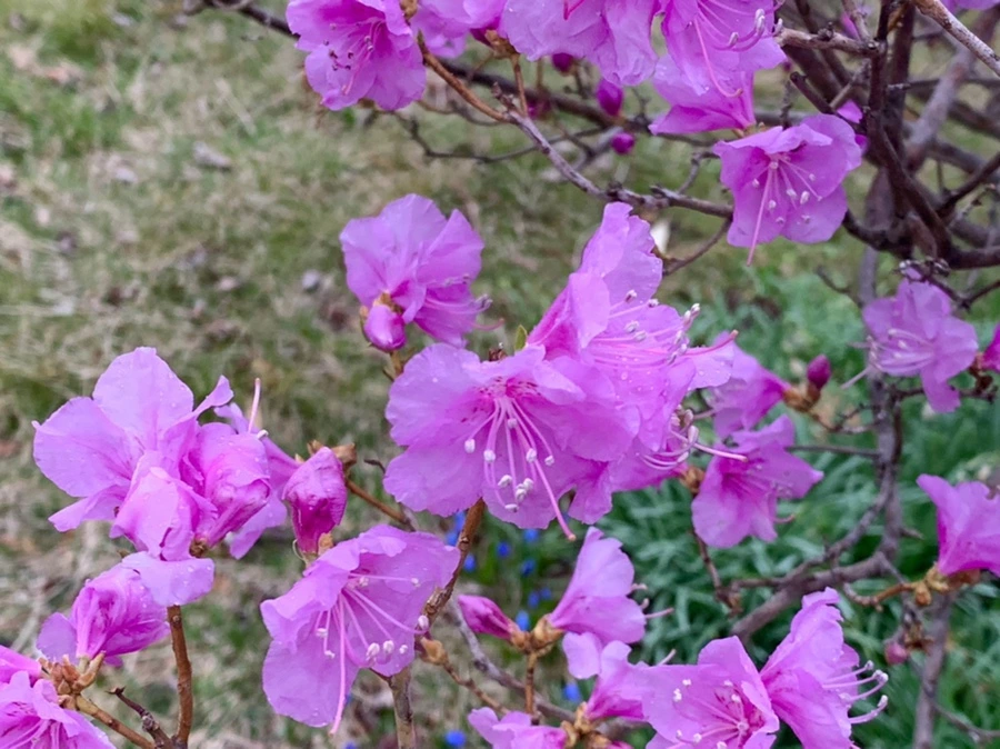 IMG_4790.jpg?type=w966