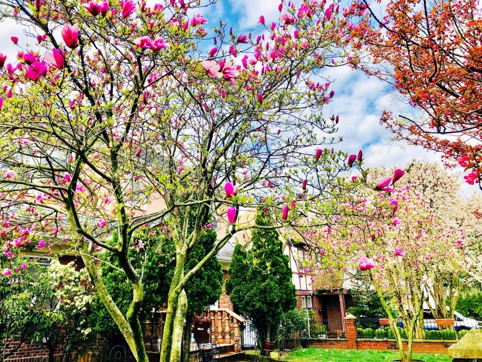 IMG_E5079.jpg?type=w966