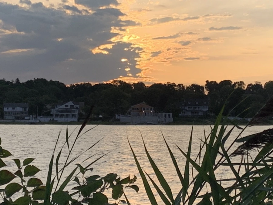 IMG_1769.jpg?type=w966