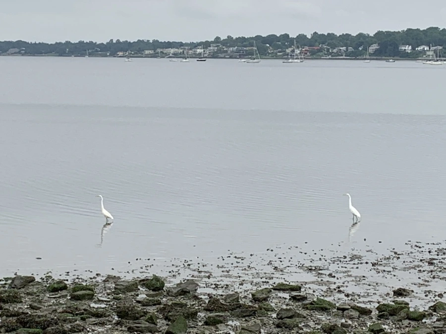 IMG_3693.jpg?type=w966