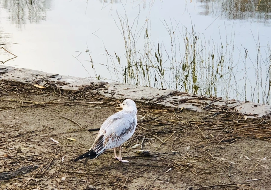 IMG_9155.jpg?type=w966