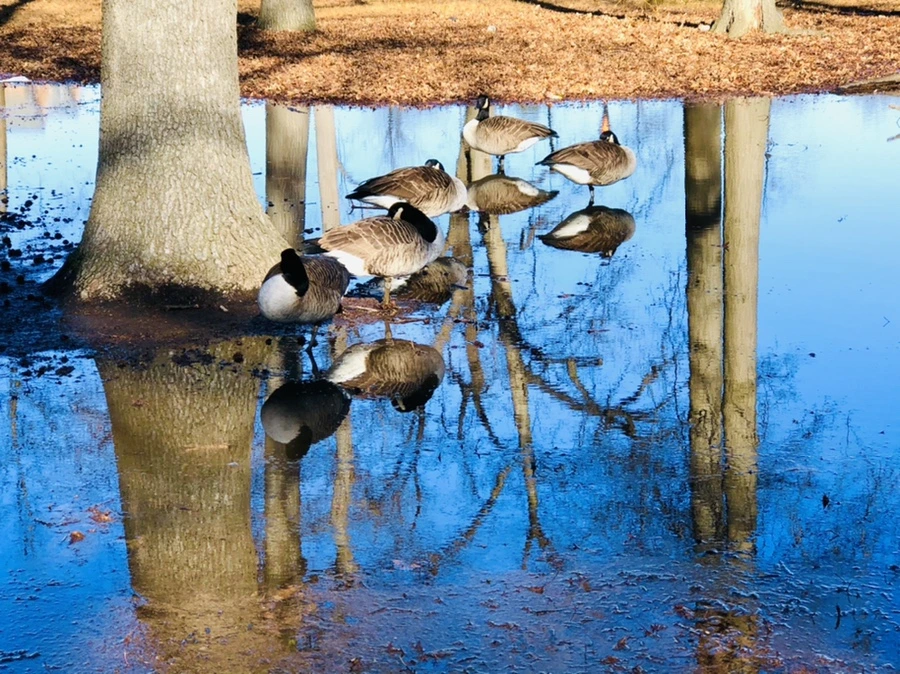 IMG_9782.jpg?type=w966