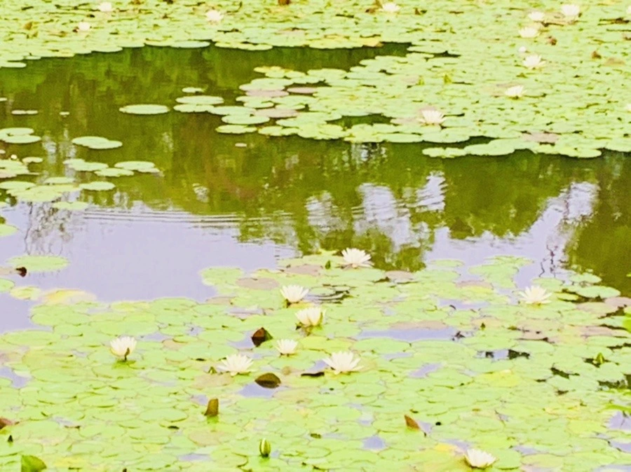 GZ5WFxopBZlYervkzYr9o9sSGp0