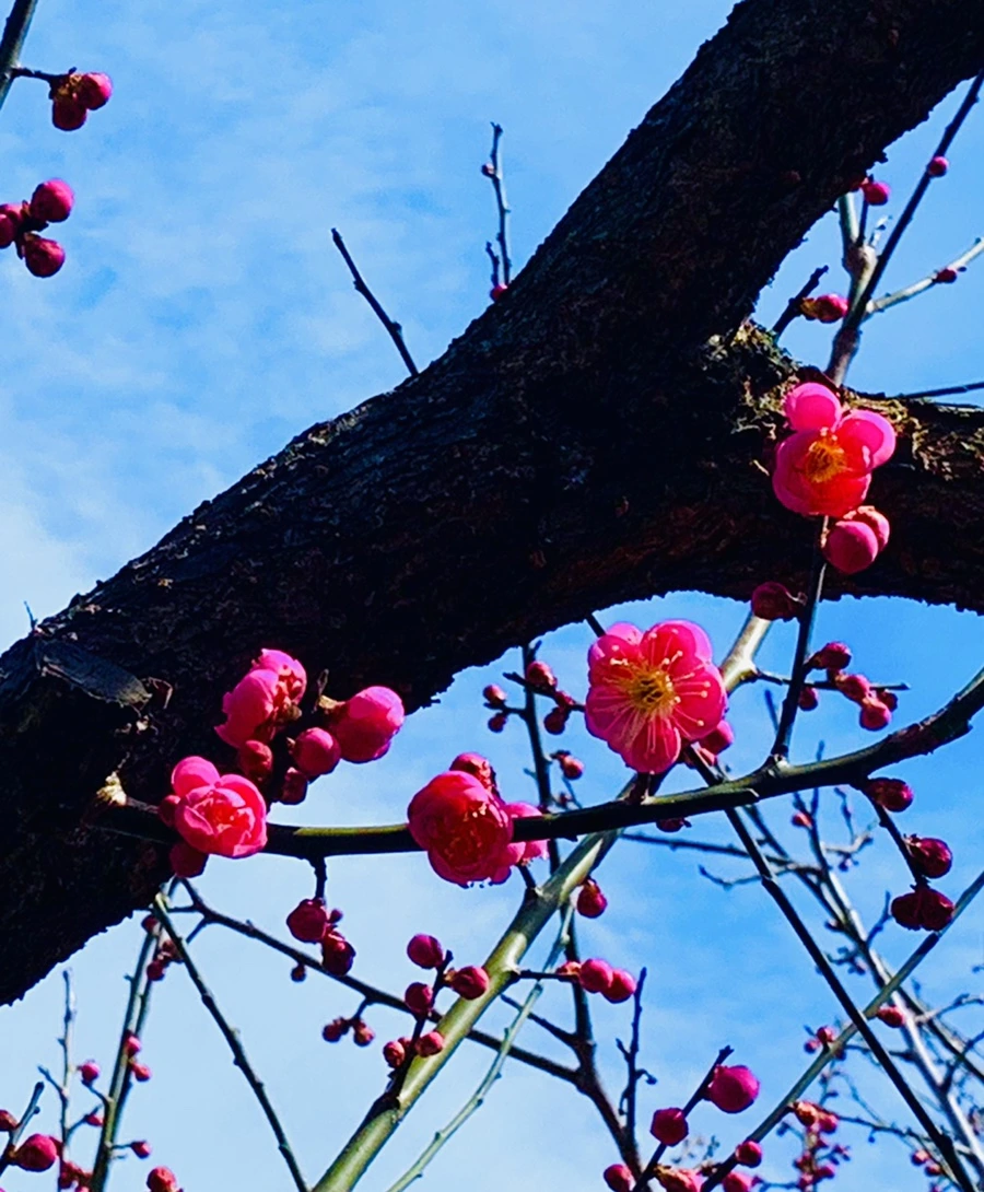 IMG_0564.jpg?type=w966