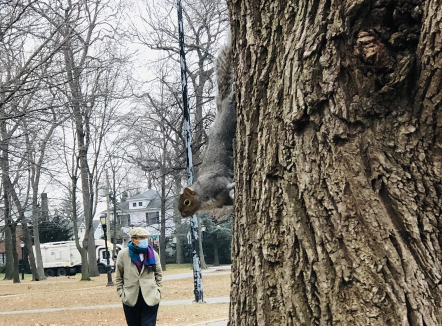 IMG_2345.jpg?type=w966