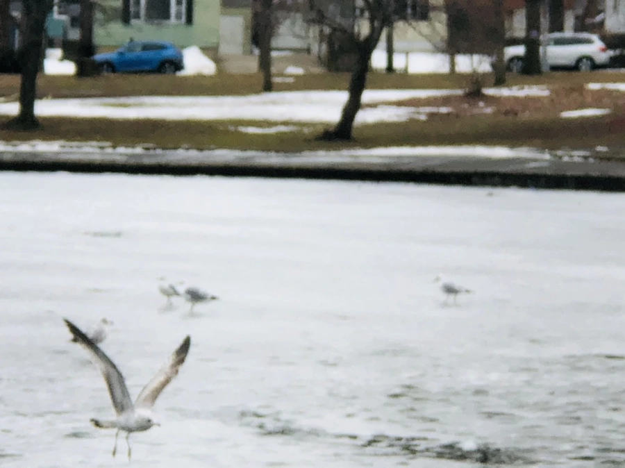 IMG_6042.jpg?type=w966