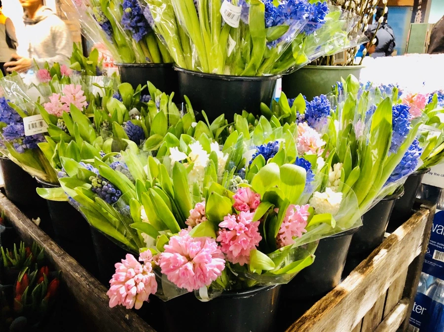 IMG_6393.jpg?type=w966