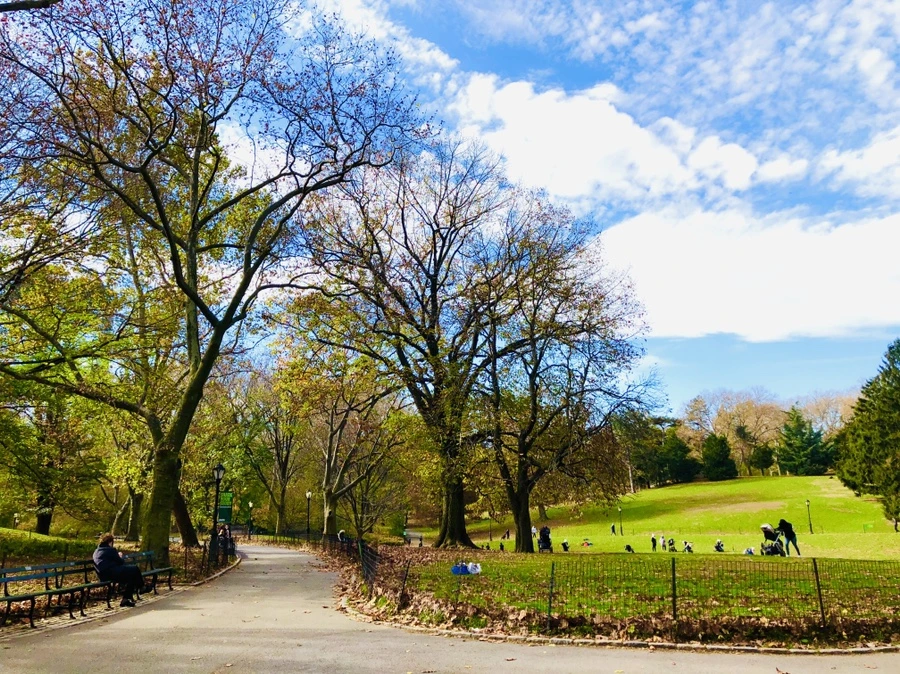 IMG_4971.jpg?type=w966