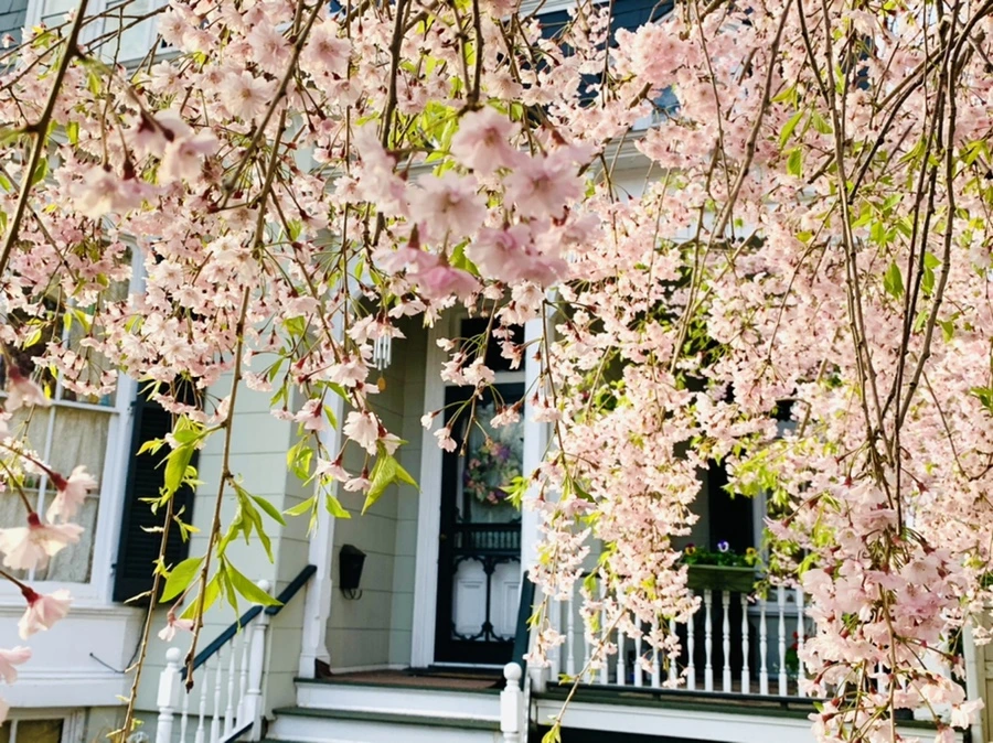 IMG_3728.jpg?type=w966